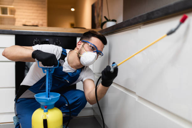 Wasp Removal Services in Spring Grove, PA