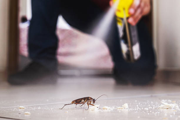 Flea Control Services in Spring Grove, PA